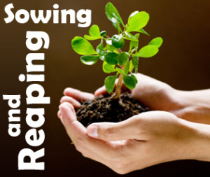 sowing-reaping pic
